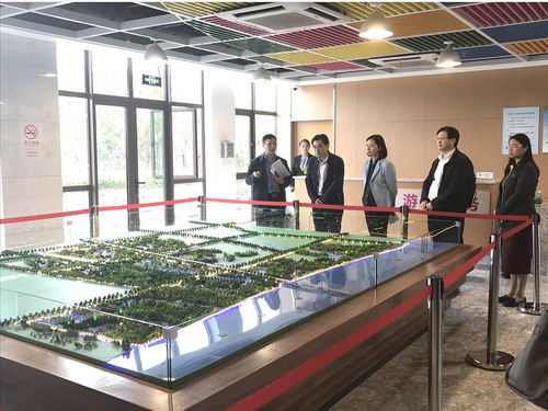 吴偕林副秘书长赴闵行区调研旅游工作，推动区域旅游业务创新发展